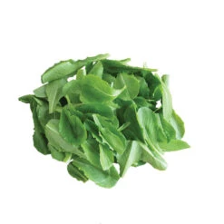 Parris Island -Veggie Patch 02234n 03 parrisisland