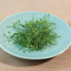 Carrot -Veggie Patch 02468m 03 o p carrot