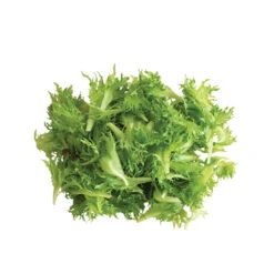 Coastline -Veggie Patch 03268g 03 coastline