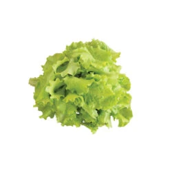 Black Seeded Simpson -Veggie Patch 0425n 04 blackseedsimpsalad.jpg