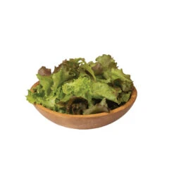 Red Sails -Veggie Patch 0431g 04 redsails