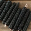 Montana Morado Maize -Veggie Patch 04381g 01 montanamoradomaize