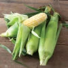 Inspiration -Veggie Patch 04766r 01 inspiration corn