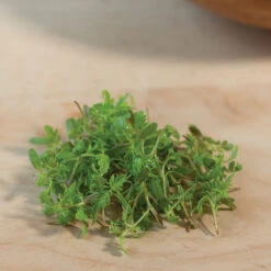 Marigold, Gem -Veggie Patch 06023m 04 gem marigold