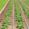 Johnny's Drip Irrigation Kit – 1,000' -Veggie Patch 06982 01 drip kit 1