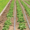 Johnny's Drip Irrigation Kit – 2,000' -Veggie Patch 06982 01 drip kit