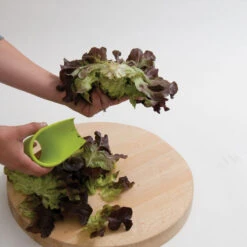 Salanova® Cutter -Veggie Patch 07136 03 salanovacutter