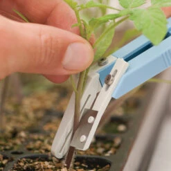 Miter-Cut Grafting Knife -Veggie Patch 07172 04 mitercutgrft knife