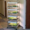 Compact Seedling Light Cart – 8 Trays, 160 Watts -Veggie Patch 07299 01 compactseedlinglightcart 1