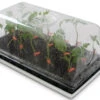 Side-Grafting Starter Kit -Veggie Patch 07311 01 side graftingstrt kit