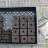 Soil Block Propagation Trays – 5 Count -Veggie Patch 09397 01 sbproptray