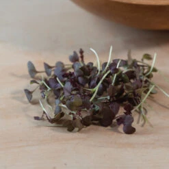 Mustard, Miz America -Veggie Patch 3749m 03 mizamerica