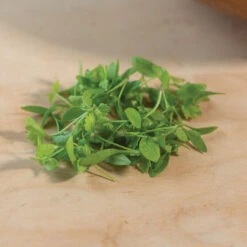 Parsley -Veggie Patch 3770m 03 parsley