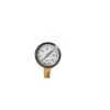 Pressure Gauge – 0-30 PSI -Veggie Patch 6287 01 prssuregauge