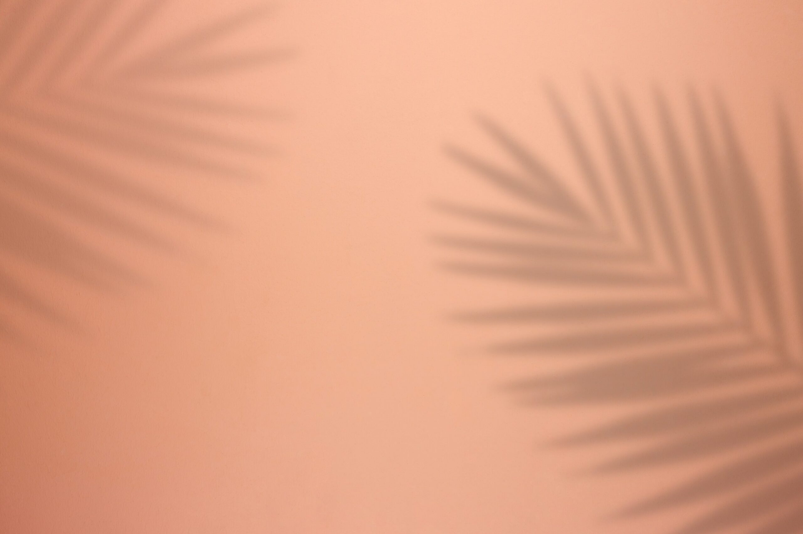 Front Page -Veggie Patch palm tree leaf shadow on pink background scaled